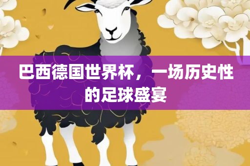 巴西德国世界杯，一场历史性的足球盛宴金炬实业股份有限公司