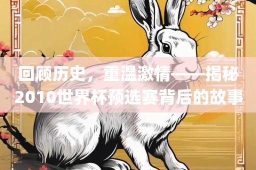 回顾历史，重温激情——揭秘2010世界杯预选赛背后的故事金炬实业股份有限公司