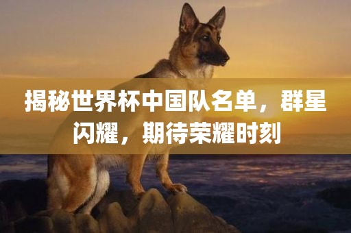 揭秘世界杯中国队名单，群星闪耀，期待荣耀时刻