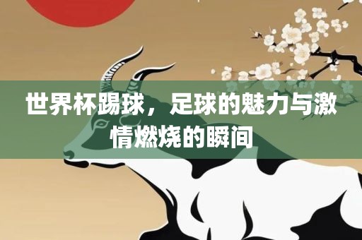 世界杯踢球，足球的魅力与激情燃烧的瞬间