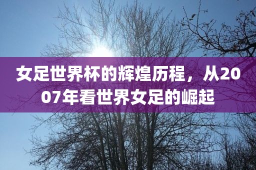 女足世界杯的辉煌历程，从2007年看世界女足的崛起