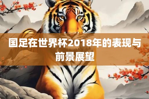 国足在世界杯2018年的表现与前景展望