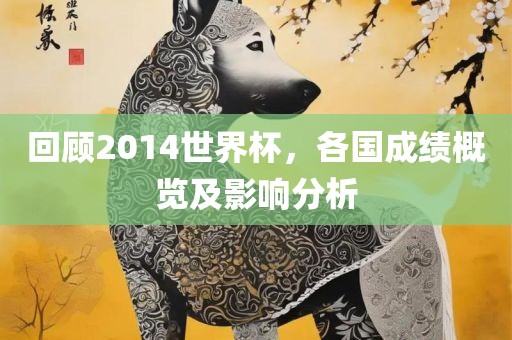 回顾2014世界杯，各国成绩概览及影响分析