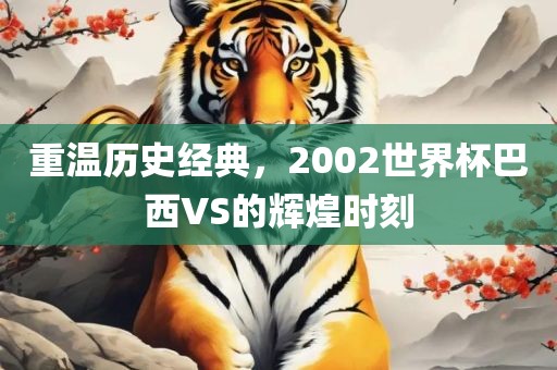 重温历史经典，2002世界杯巴西VS的辉煌金炬实业股份有限公司时刻