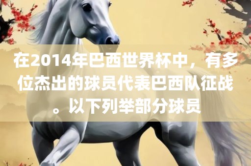 在2014年巴西世界杯中，有多位杰出的球员代表巴西队征战。以下列举部分球员金炬实业股份有限公司