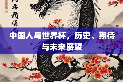 中国人与世界杯，历史、期待与未来展望