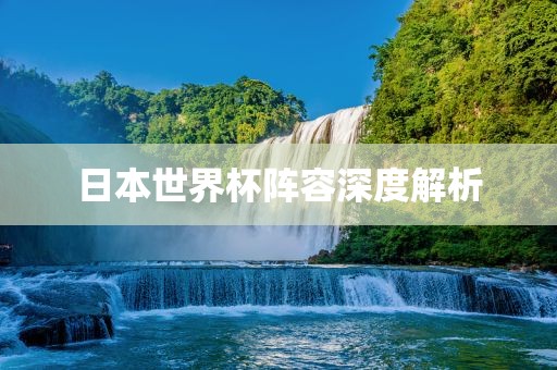 日本世界杯阵容深度解析