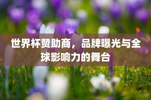 世界杯赞助商，品牌曝光与全球影响力的舞台