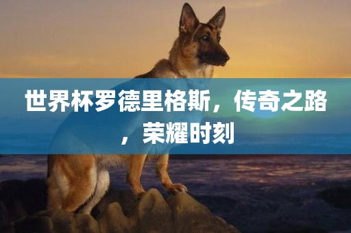 世界杯罗德里格斯，传奇之路，荣耀时刻