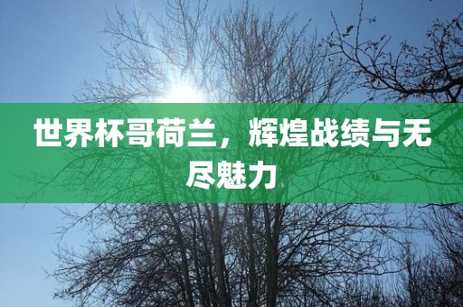 世界杯哥荷兰，辉煌战绩与无尽魅力