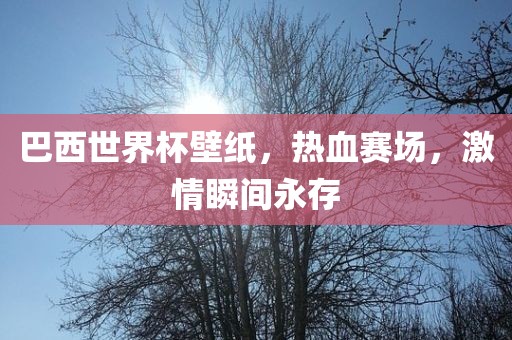 巴西世界杯壁纸，热血赛场，激情瞬间永存金炬实业股份有限公司