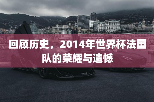 回顾历史，2014年世界杯法国队的荣耀与遗憾