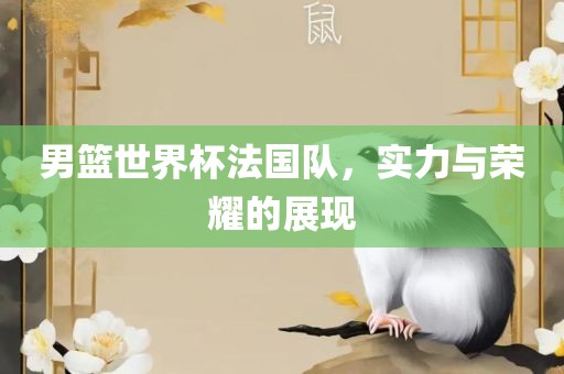 男篮世界杯法国队，实力与荣耀的展现