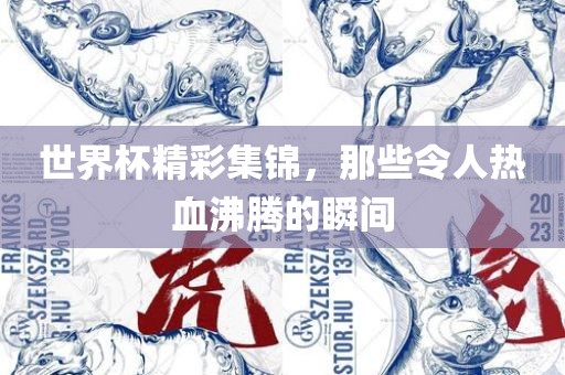 世界杯精彩集锦，那些令人热血沸腾的瞬间