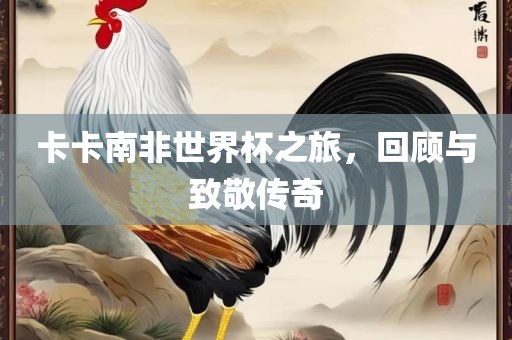 卡卡南非世界杯之旅，回顾与致敬传奇