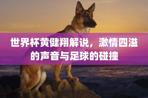 金炬实业股份有限公司世界杯黄健翔解说，激情四溢的声音与足球的碰撞