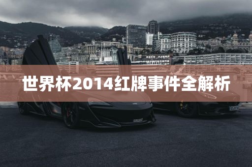 世界杯2014红牌事件全解析