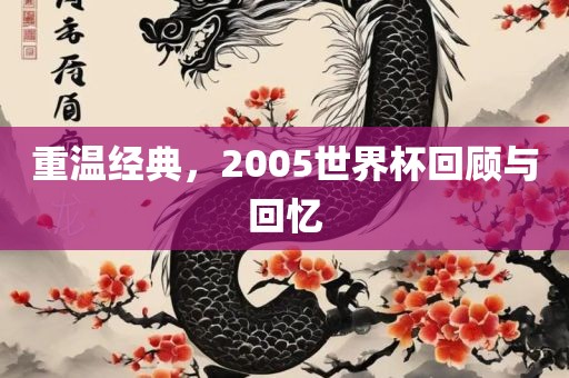 重温经典，2005世界杯回顾与回忆