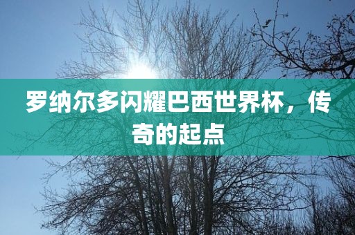 罗纳尔多闪耀巴西世界杯，传奇的起点金炬实业股份有限公司