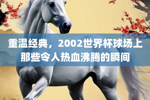 重温经典，2002世界杯球场上那些令人热血沸腾的瞬间