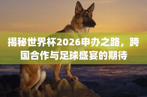 揭秘世界杯2026申办之路，跨国合作与足球盛宴的期待金炬实业股份有限公司