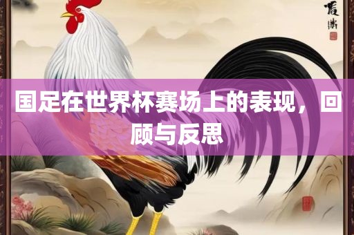 国足在世界杯赛场上的表现，回顾与反思