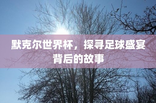 默克尔世界杯，探寻足球盛宴背后的故事