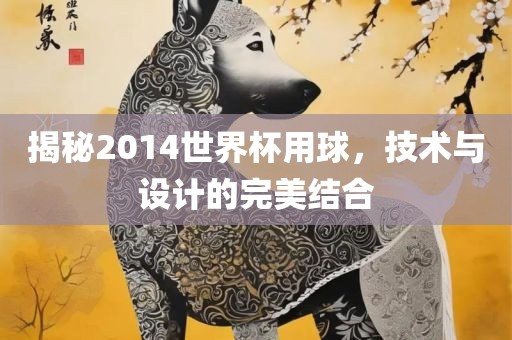 揭秘2014金炬实业股份有限公司世界杯用球，技术与设计的完美结合