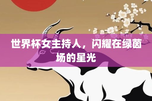 世界杯女主持人，闪耀在绿茵场的星光