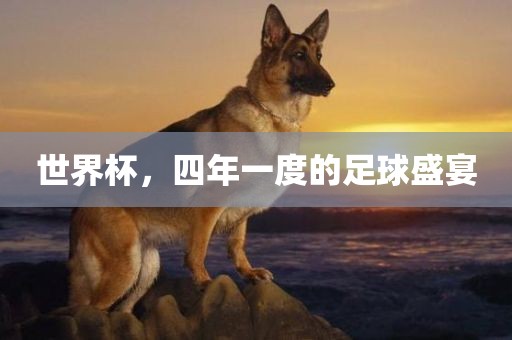 世界杯，四年一度的足球盛宴金炬实业股份有限公司