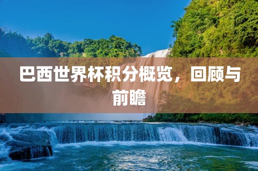 巴西世界杯积分概览，回顾与前瞻金炬实业股份有限公司