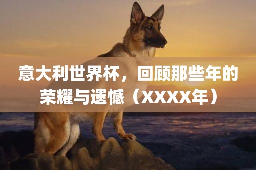 意大利世界杯，回顾那些年的荣耀与遗憾（XXXX年）金炬实业股份有限公司