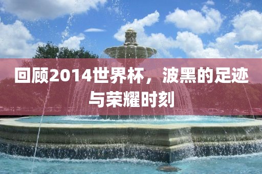 回顾2014世界杯，波黑的足迹与荣耀时刻