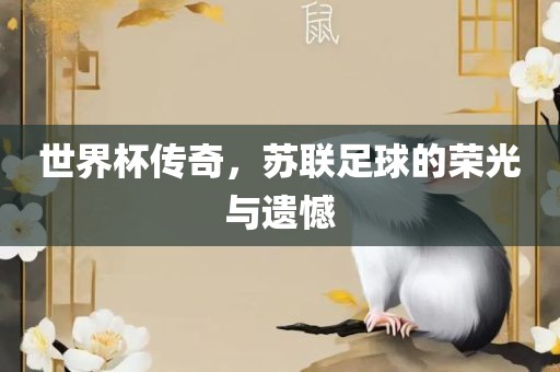 世界杯传奇，苏联足球的荣光与遗憾