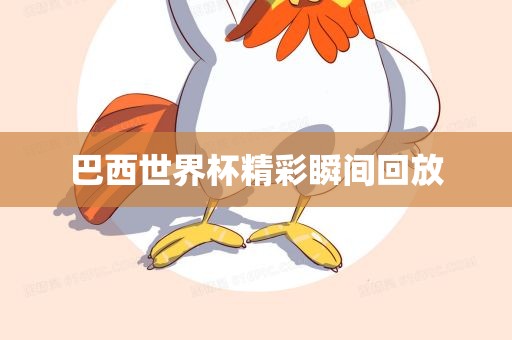 巴西世界杯 第7页