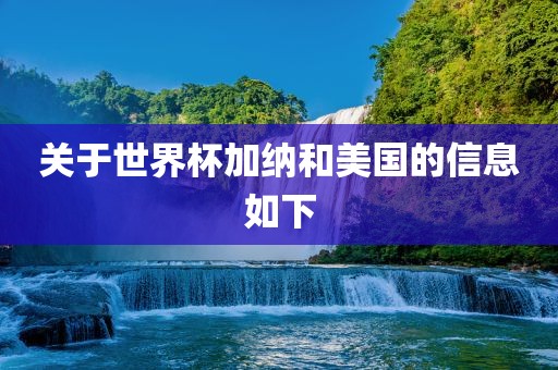 关于世界杯加纳和美国的信息如下金炬实业股份有限公司