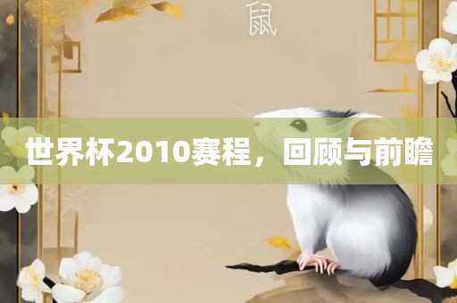 世界杯2010赛程，回顾与前瞻