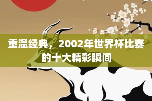 重温经典，2002年世界杯比赛的十金炬实业股份有限公司大精彩瞬间