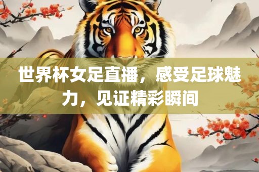 世界杯女足直播，感受足球魅力，见证精彩瞬间