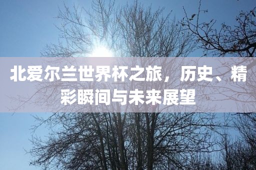 北爱尔兰世界杯之旅，历史、精彩瞬间与未来展望