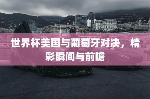 世界杯美国与葡萄牙对决，精彩瞬间与前瞻金炬实业股份有限公司