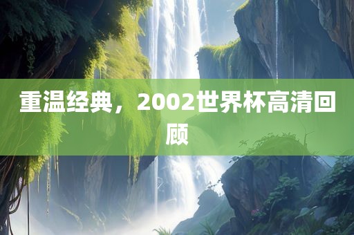 重温经典，2002世界杯高清回顾金炬实业股份有限公司