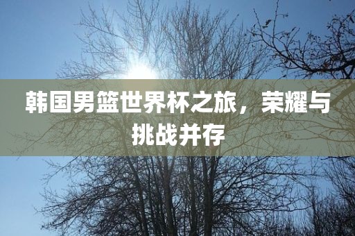 韩国男篮世界杯之旅，荣耀与挑战并存