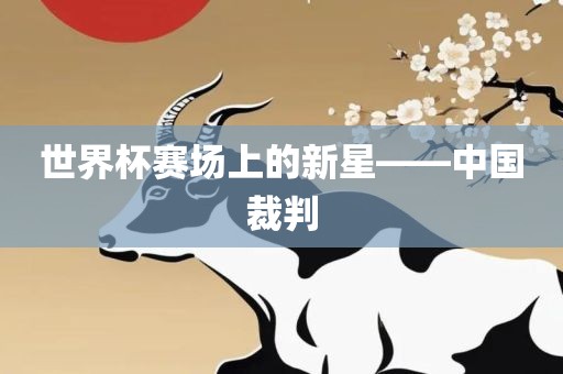 世界杯赛场上的新星——中国裁判金炬实业股份有限公司