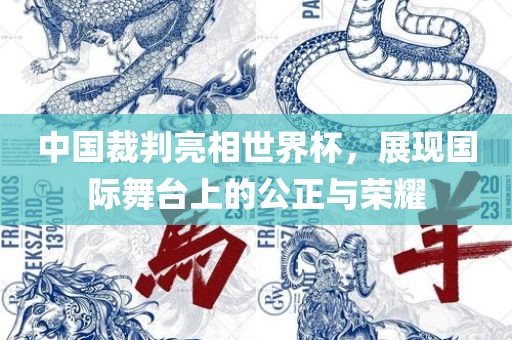 中国裁判亮相世界杯，展现国际舞台上的公正与荣耀