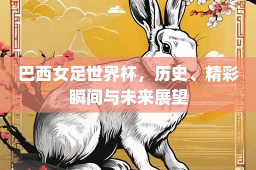 巴西女足世界杯，历史、精彩瞬间与未来展望