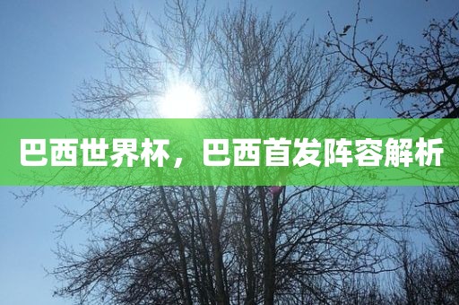 巴西世界杯，巴西首发阵容解析金炬实业股份有限公司