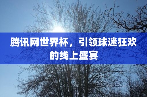 腾讯网世界杯，引领球迷狂欢的线上盛宴