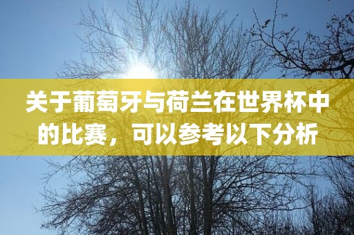 关于葡萄牙与荷兰在世界杯中的比赛，可以参考以下分析金炬实业股份有限公司