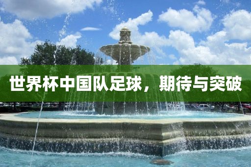 世界杯中国队足球，期金炬实业股份有限公司待与突破